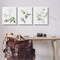 Stupell Industries Soft White Botanicals 3pc Canvas Wall Art Set Design by Lettered and Lined